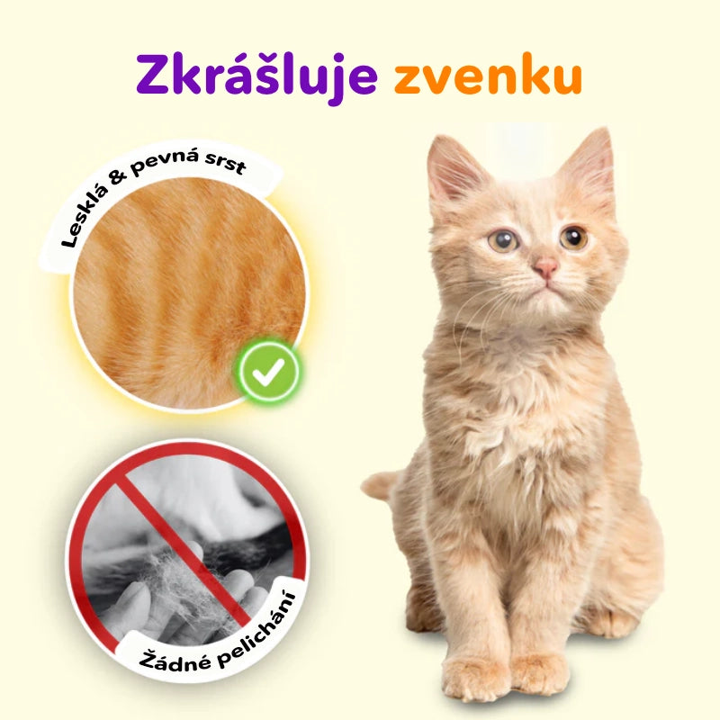 Krémový Omega-3 rybí tuk v pumpičke (50ml)