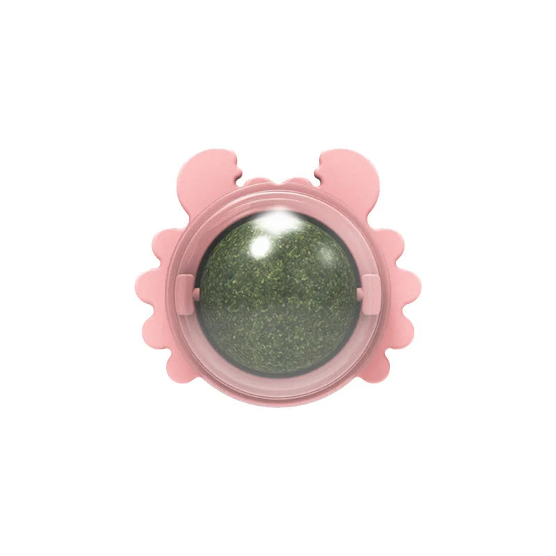 🎁 Catnip koule pro kočku na zeď (100% off)