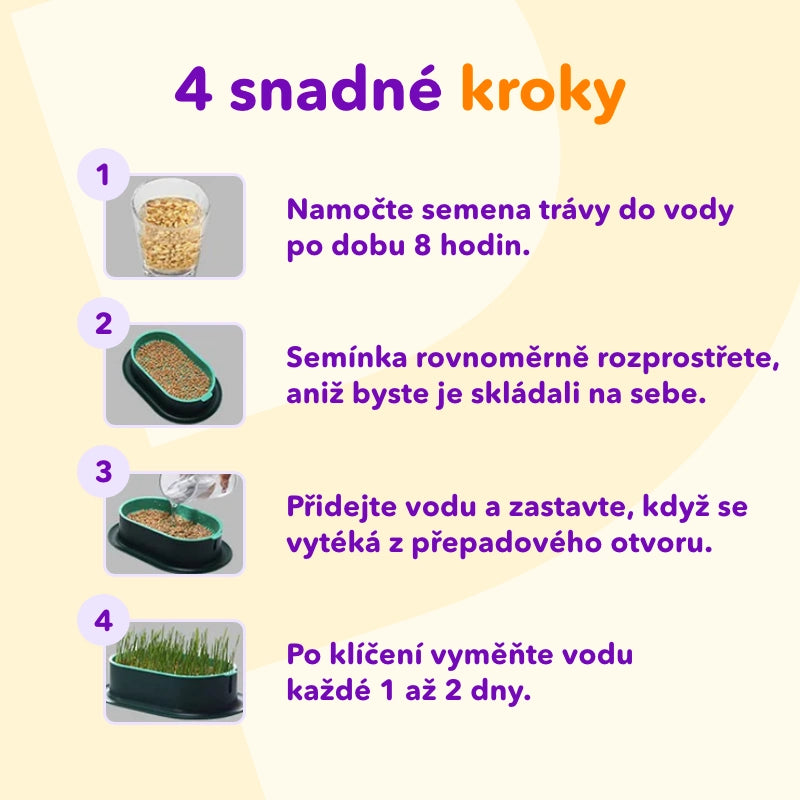 1+1 ZDARMA Miska na pěstování trávy kočičí