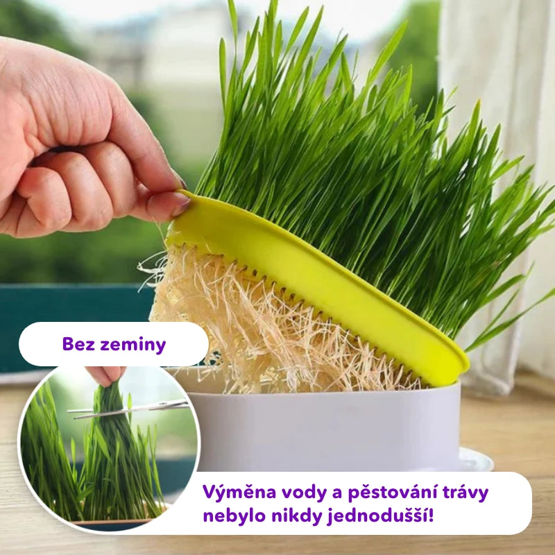 1+1 ZDARMA Miska na pěstování trávy kočičí