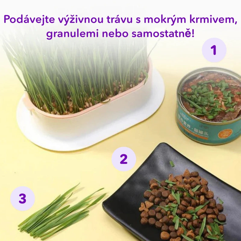 1+1 ZDARMA Miska na pěstování trávy kočičí