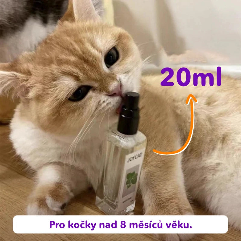 Sprej zo šanty mačacie 100ml