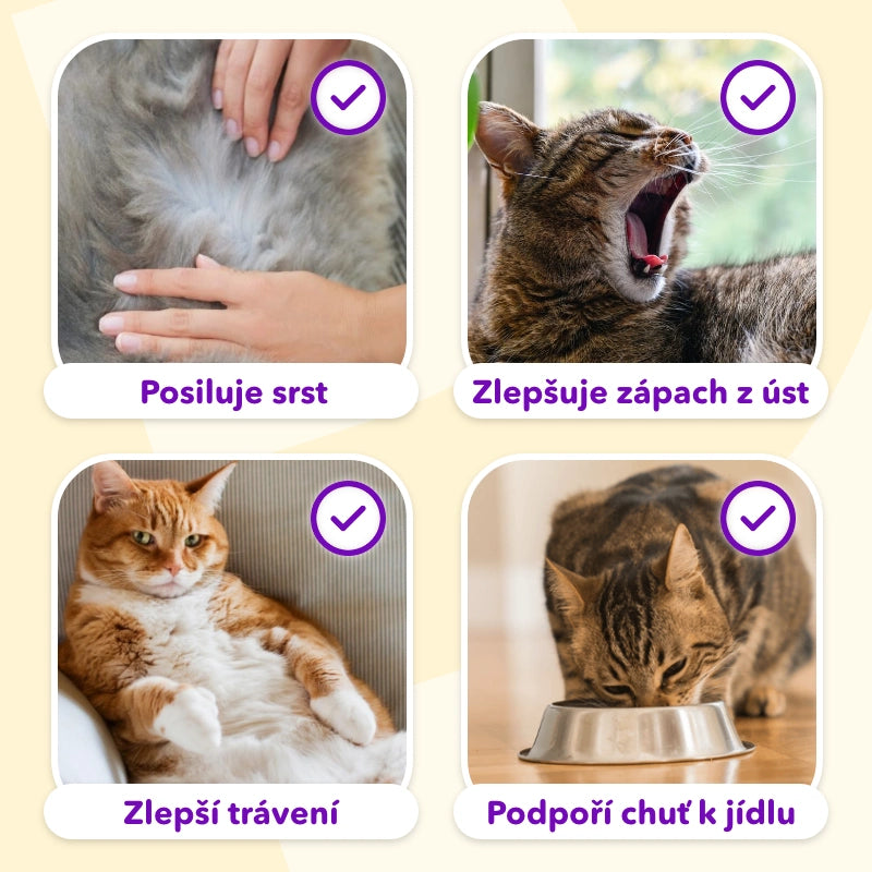 Hryzacie tyčinky z mačacej trávy (6 kusov)