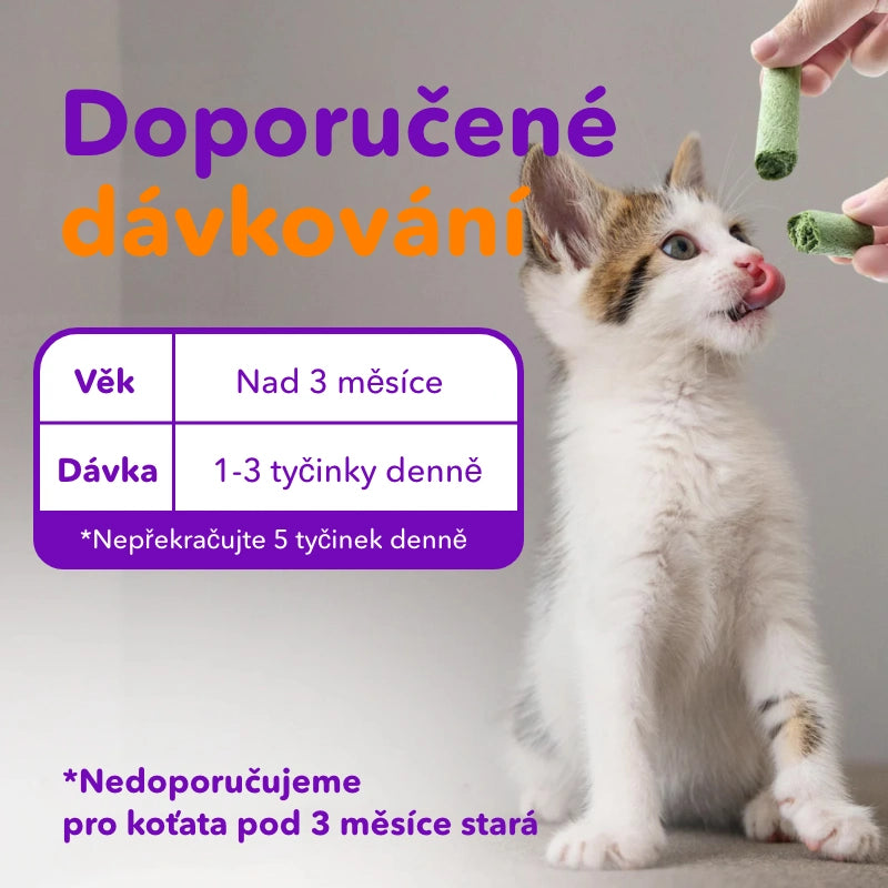Hryzacie tyčinky z mačacej trávy (6 kusov)