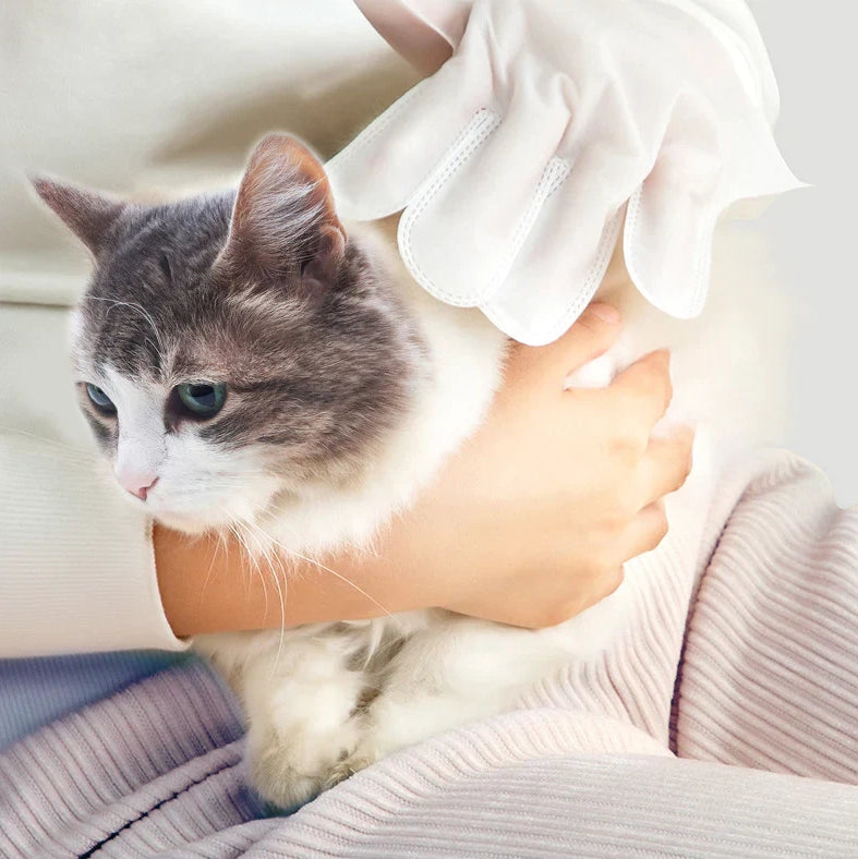 Čistiace vlhčené rukavice pre domácich miláčikov (6 kusov)