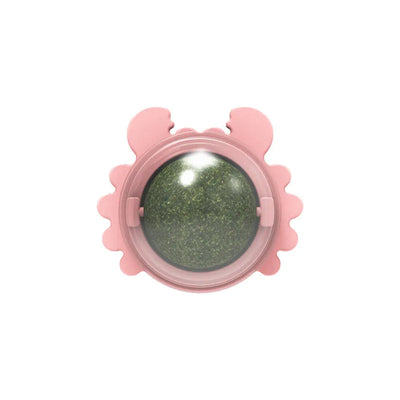 🎁 Catnip koule pro kočku na zeď (100% off)