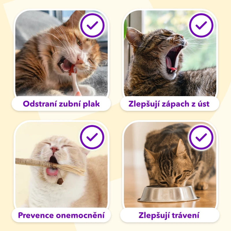 Dentálna hračka - hryzacie tyčinky s catnipom (3ks)