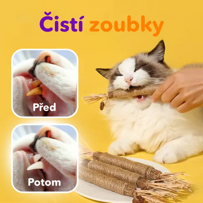 Dentálna hračka - hryzacie tyčinky s catnipom (3ks)