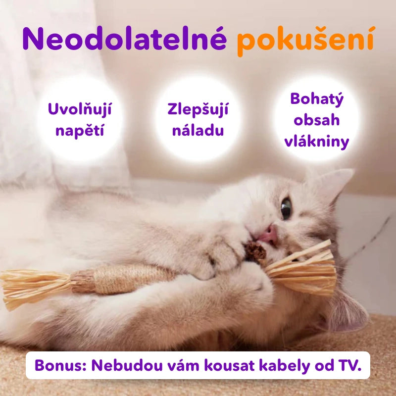 Dentálna hračka - hryzacie tyčinky s catnipom (3ks)