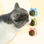 🎁 Catnip koule pro kočku na zeď (100% off)