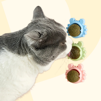 🎁 Catnip koule pro kočku na zeď (100% off)