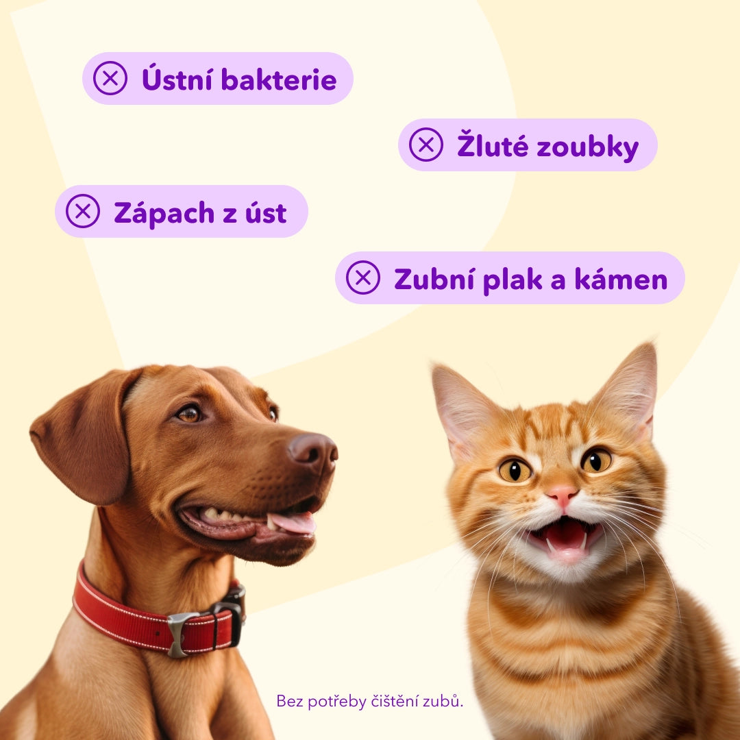 Obrúsky na čistenie zubov pre psov a mačky (60 kusov)